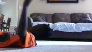 Boy in orange slips and falls on living room floor
