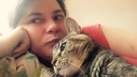 Talking cat says NO! to kisses