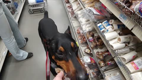 Doberman Picks Out His Own Treat And Brings It To Cashier