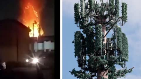 Large 5G Cell Tower As A Tree Is On Fire In Los Angeles – Nearby Apartment Evacuating