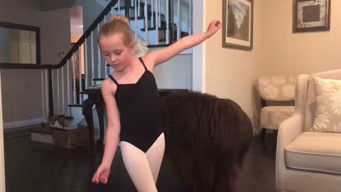 Newfoundland wants to join little girl's ballerina performance