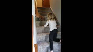 DOG WATCHES VIDEO OF HIS PUPPY DAYS ON THE STAIRCASE