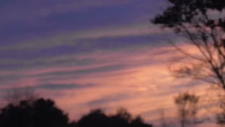 298 Toussaint Wildlife - Oak Harbor Ohio - Beautiful Toussaint Skyline