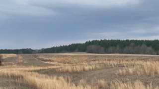 First Warrior Solo Flight