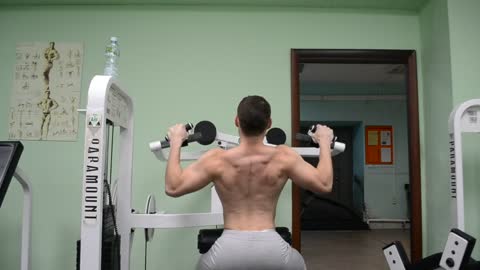Back training - Gym - Bodybuilding