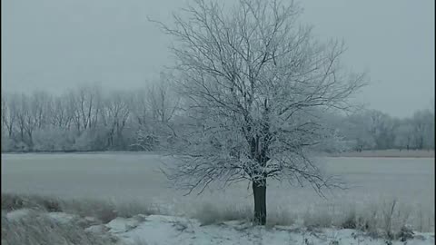 Winter In Iowa