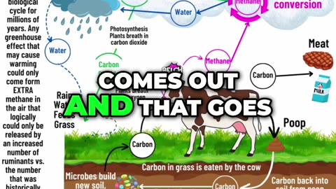 Regenerative Farming, The Surprising Link Between Cows, Methane, and Climate Change