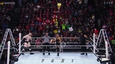 Roman Reigns Vs Sheamus Championship