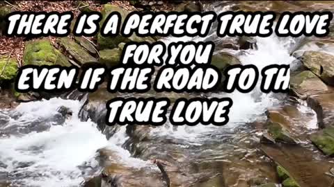 Love qoutes and true love quotes for you.