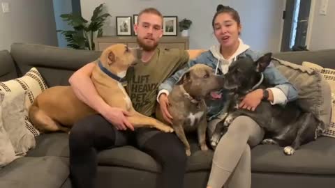 Husband and wife loves puppies
