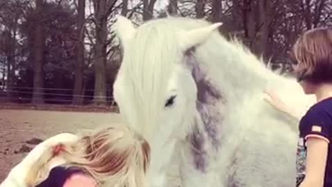 2 little kids cuddle a big horse when laying on the ground.