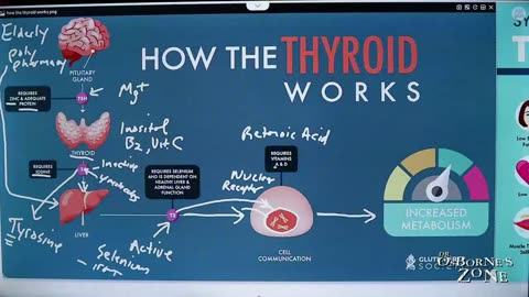 Cure for Thyroid Disease Discovered? 2024 - Dr. Osborne's Zone