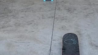 Dog Jumps on Three Moving Skateboards