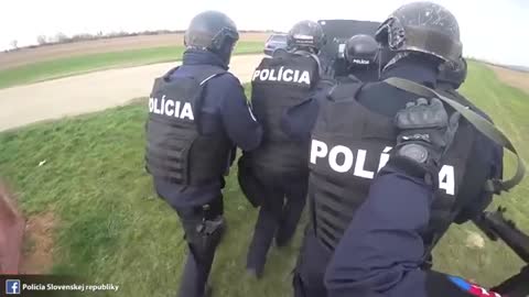 Watch this K9 Police Dog Action with SWAT team