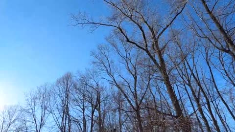 Time lapse overnight of the clear sky