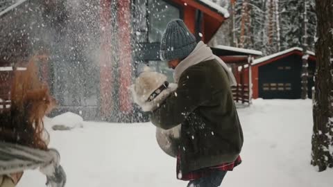 Look at this dog happy playing together