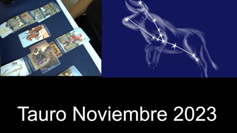 Tauro en Noviembre 2023 (preocupaciones de dinero)