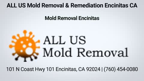 ALL US Mold Removal in Encinitas, CA