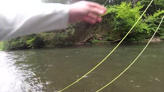 FLY FISHING the GREEN DRAKE HATCH! - Pine Creek