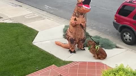 Clever Person Dresses In T-Rex Costume To Walk Their Dog Safely