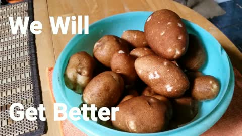 Mom And Son First Potato Harvest Off Grid Home