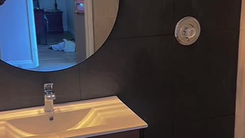 Modern bathroom done by RGS Build