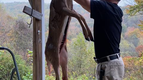 Time Lapse of Skinning Deer