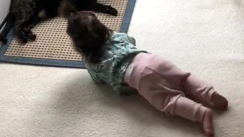 Kitty inspires baby to learn how to crawl