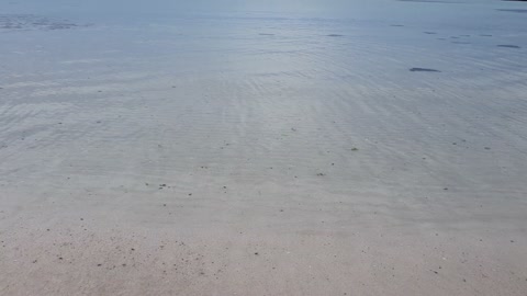 Jeju Island Beach Wave