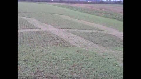 Symbols at the landing site of a UFO after contact