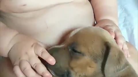 Adorable Baby Touches Sleepy Puppy as It Lays in His Lap