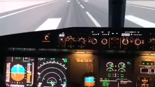 A Pilot Landed an Aircraft in the Flight Simulator