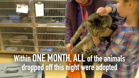 Spokanimal Shelter saves 45 animals in one night!
