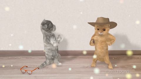 Mama Cat Takes Back Crying Kitten From Toddle Two dancing cats