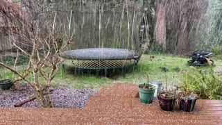 Sudden Hail Storm - 02/07/21