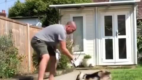 Watch this smart dog what he's doing😍