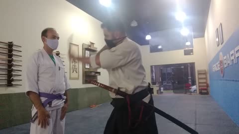 Aikido - 12 movimentos com Tanto