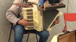 Dog Sleeps Soundly On Accordion