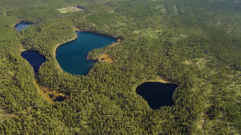 aerial view of the lake and forest in finland beautiful nature of finland