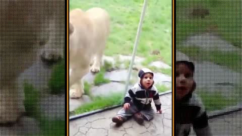 Funny baby and animals playing at the Zoo video 2021 :)