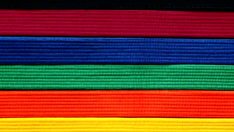 How Many Belts Are In Karate? | ART OF ONE DOJO