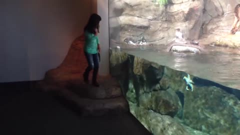 the Aquarium - Girl SPOOKED By A Beluga Whale hhhhhh