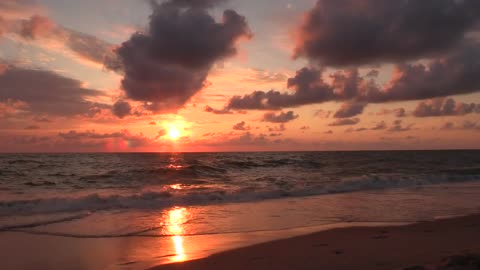 Beautiful beach sunset