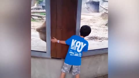 Kid plays with a bear in the zoo