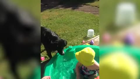 Dog And Baby Take A Swim Very Funny Time | Funny Baby Video