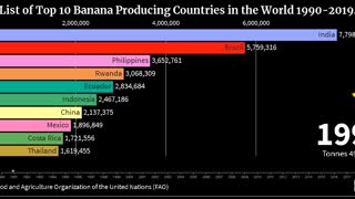 List of Top 10 Banana Producing Countries in the World 🍌🍌