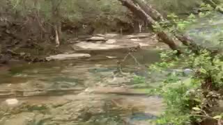 Tranquil creek