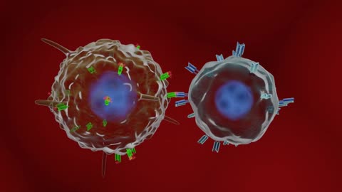 How does COVID-19 vaccines work? Animated explainer with english speak