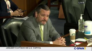 Ted Cruz Goes Into Prosecutor Mode, EXPOSES FBI's Wray on Antifa