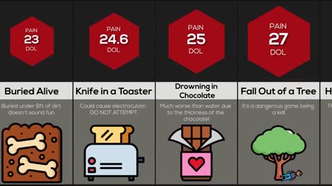 Comparison Human Pain (PART 5)